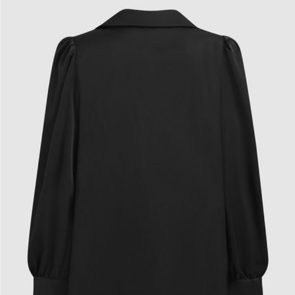 Button up Ruched Puff Sleeve Collared Blouse - Picture 3 of 8
